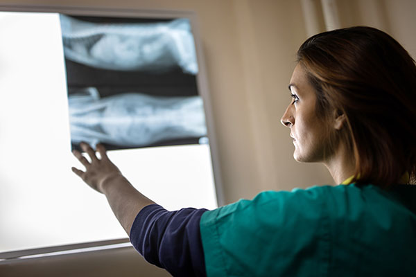 Veterinarian Reading X-rays